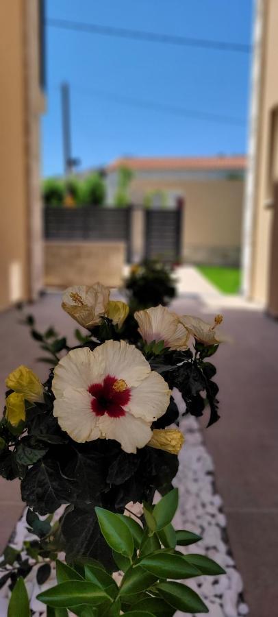 Splendid Villas And Family Resort Kalamítsion Amigdhálion Kültér fotó